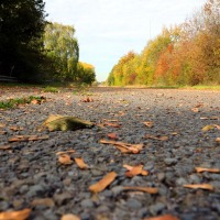 Pour finir : une question essentielle !!!

Quand est-ce qu'on construit de nouvelles autoroutes pour pouvoir les abandonner à la nature ?