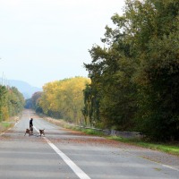 Qu'on se le dise, la vraie nature sauvage est sauvée en Wallonie !