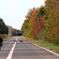 Elle offre un cadre de balade apprécié de tous.