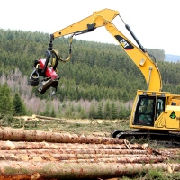 machine en forêt