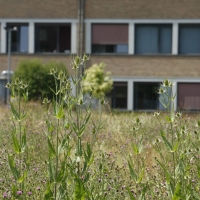 UCM Naninne zone de quiétude 09-07-2015