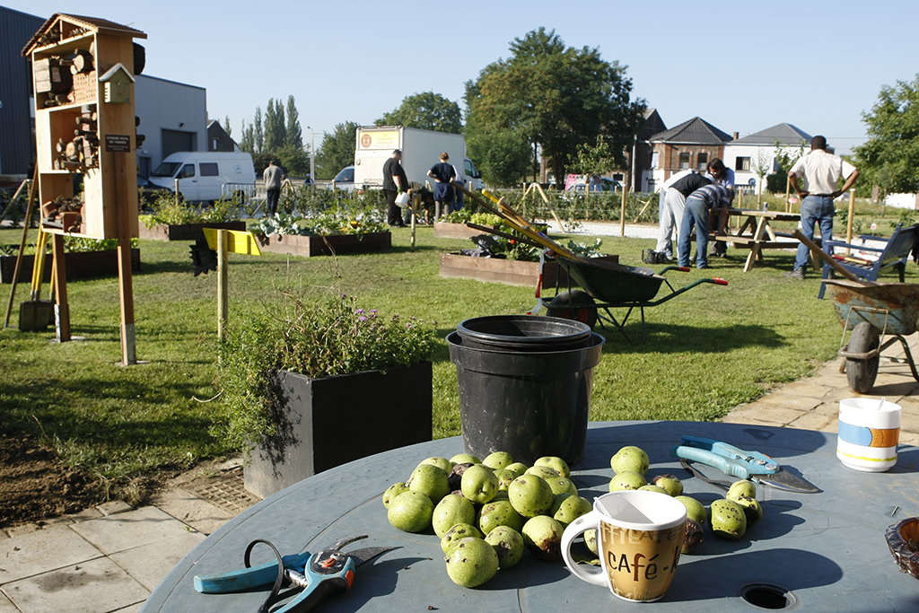 Nature in Progress - BiodiBap' Sambreville